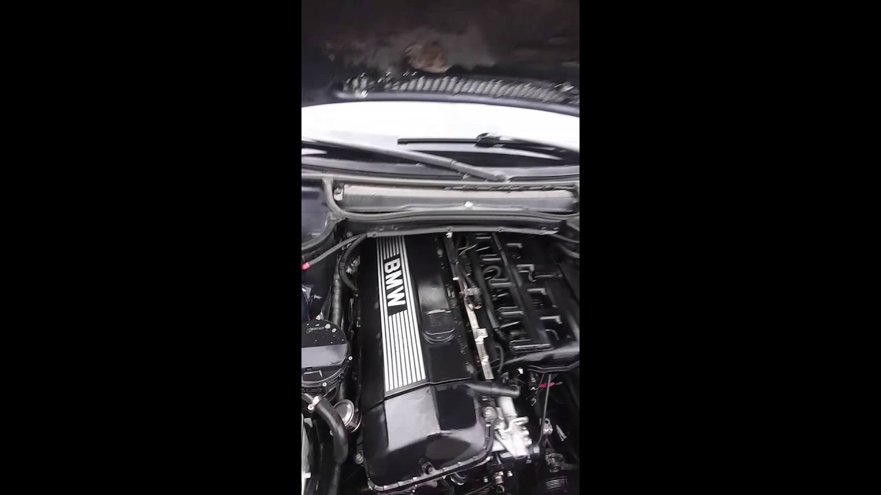 E46 Oil Filter Housing Gasket YouTube