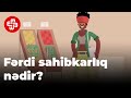 Fərdi sahibkarlıq nədir? - İzah edirik