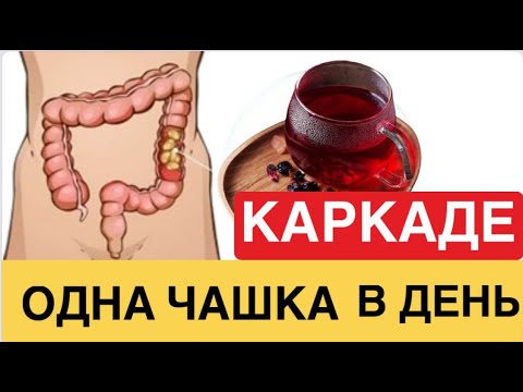 ЧТО ТВОРИТ Каркаде? Многие пьют КАРКАДЕ, но даже не догадываются о ...