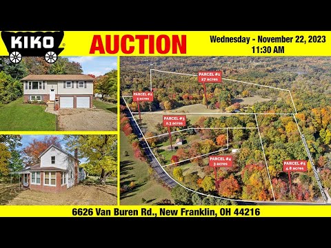 Kiko Online Auctions Ohio