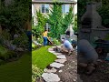 This dead yard became a dream backyard #shorts #garden #landscape  #backyard #transformation #home