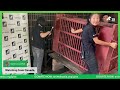 Join us as we rescue the first bears to our new sanctuary!