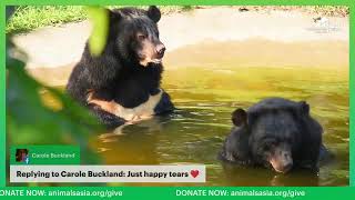 Join us as we rescue the first bears to our new sanctuary!