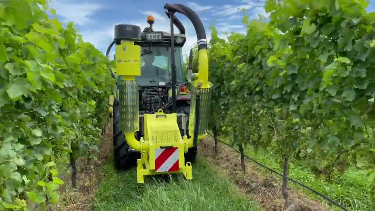 Effeuilleuse COLLARD ELLIPSE-MULTIROTOR E2200F