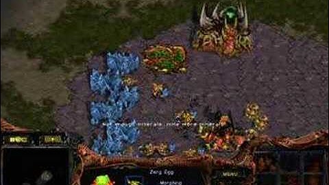 ZvZ 9 Pool Speedling Build