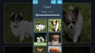 Jigsaw Puzzle: Puppy screenshot 2