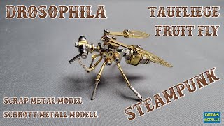 Steampunk Drosophila Taufliege/Fruit Fly - Schrott Metallmodell / Scrap metal model #steampunk
