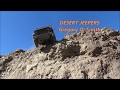 Desert Jeepers, Wright Cousin Adventures book 2