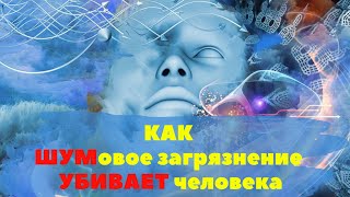 Как ШУМовое загрязнение УБИВАЕТ человека