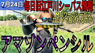 アマゾンペンシル入荷!普通のmパワーのシーバスロッドで投げてみた!旧