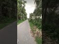 যশোর জেলার অসাধারণ খেজুর বাগানের দৃশ্য না দেখলে মিস করবেন যারা রাস্তায় চারিধার দিয়ে বয়ে  #shots