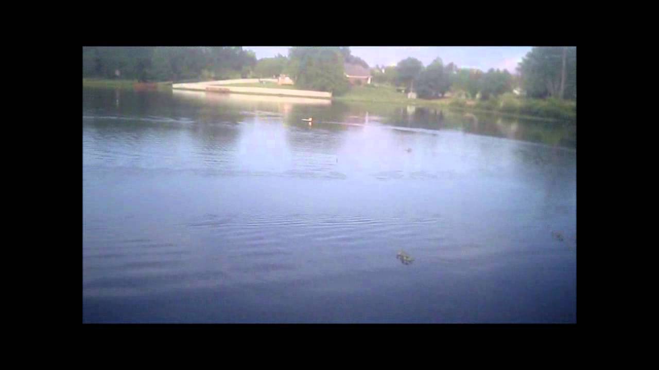 R/C Depron Airboat maiden voyage