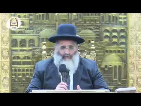 שידור חי | הכנה לפורים עם הרב ישראל אברג'ל שליט"א, בנו וממשיך דרכו של הרב יורם אברג'ל זיע"א