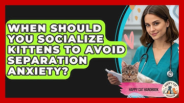 When Should You Socialize Kittens To Avoid Separation Anxiety? - Happy Cat Handbook