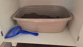 This litter box holder is stylish and works great! by Provenance Cats 173 views 1 year ago 1 minute, 57 seconds