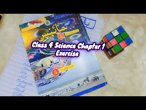 Class 4 science | Chapter 1 Exercise | STBB Jamshoro #sindheducation # ...
