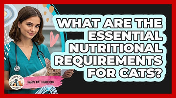 What Are The Essential Nutritional Requirements For Cats? - Happy Cat Handbook