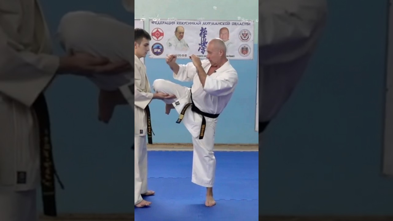 Кёкусинкай 