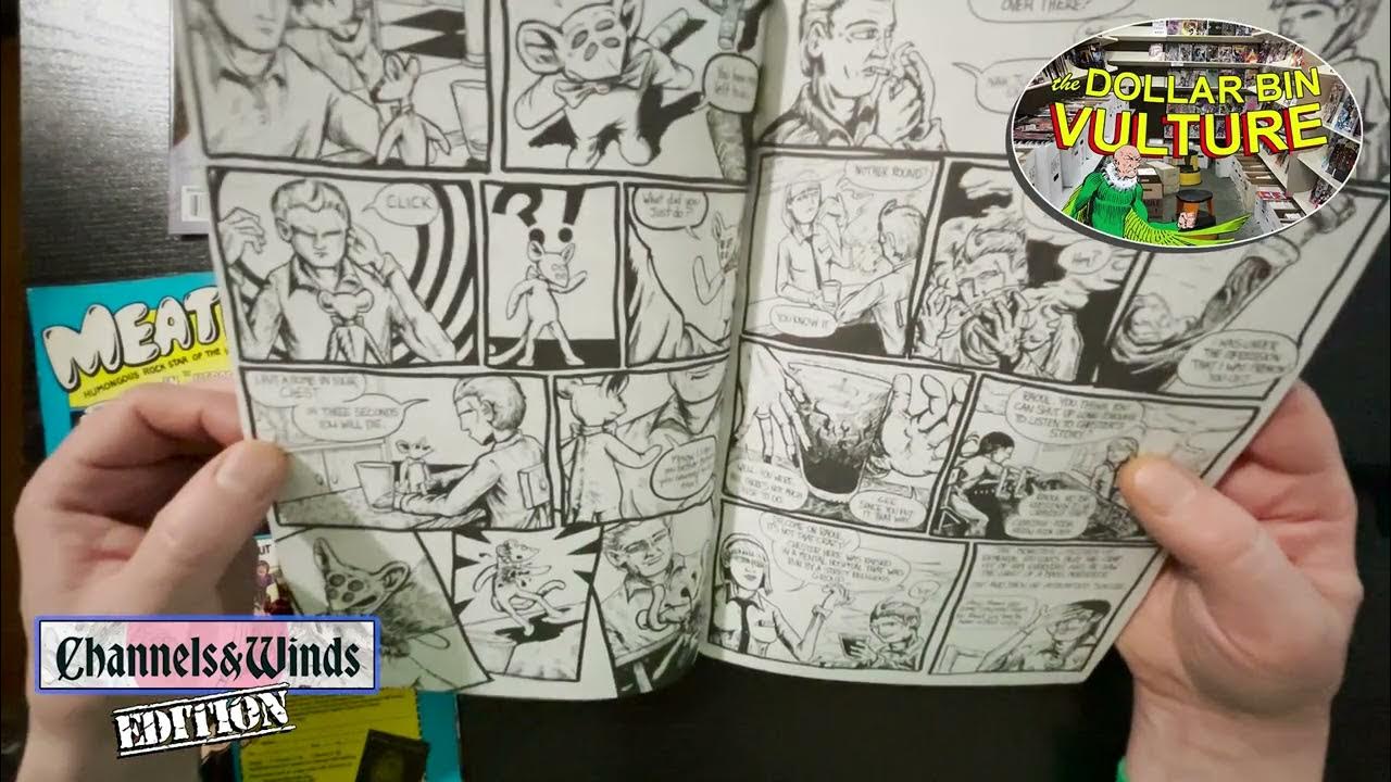 Dollar Bin Vulture 10 Channels & Winds! A Beautiful Bounty of Bulk