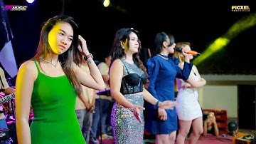 GG MUSIC - LAGU SEXY ALL ARTIS - WEDDING PARTY EDY & SOFIYA - TERNADI DAWE KUDUS