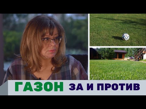 Газон на участке, зачем нужен газон, рулонный газон, уход за газоном
