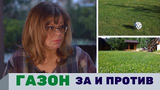 видео: Газон на участке, зачем нужен газон, рулонный газон, уход за газоном картинка: Газон на участке, зачем нужен газон, рулонный газон, уход за газоном