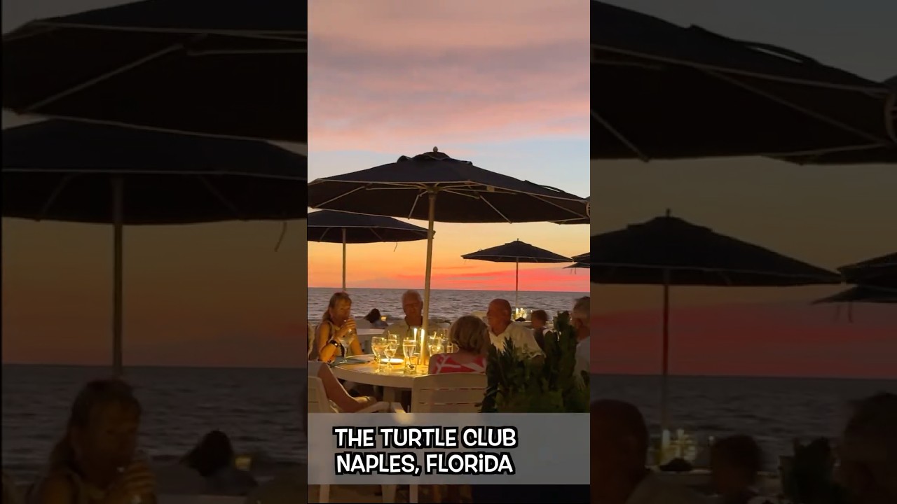 turtle club naples fl dress code Reviews - Turtle Club Fresh Fish Sandwich from Turtle Club Restaurant