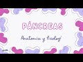 pancreas