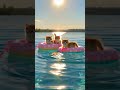 Cute Kittens 😻 #ai #aivideo #shorts #youtubeshorts #cat #kittens