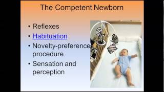 Prenatal Development and Newborns, 1
