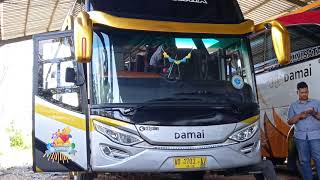 Violet bus damai trans sayur kol