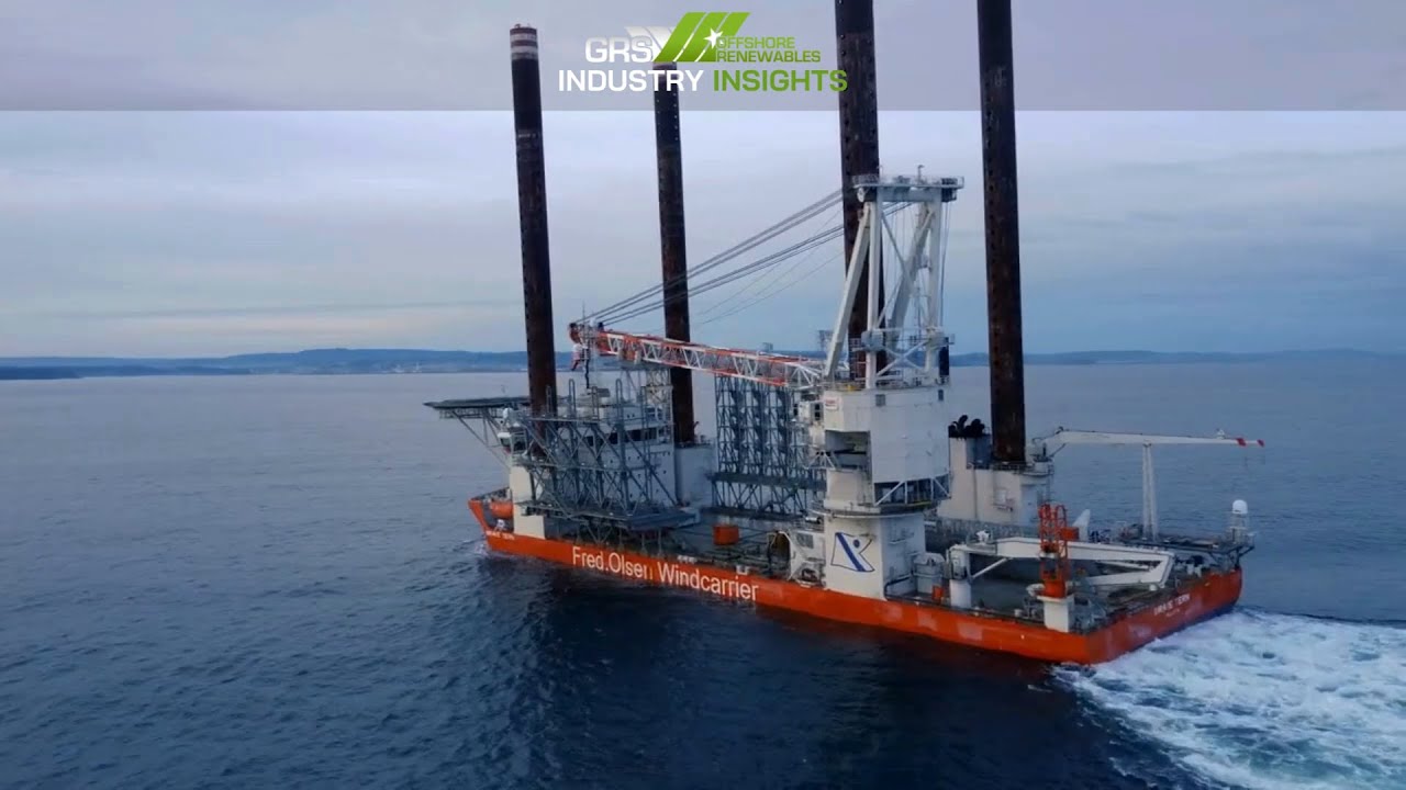 Brave Tern WTIV Spotted