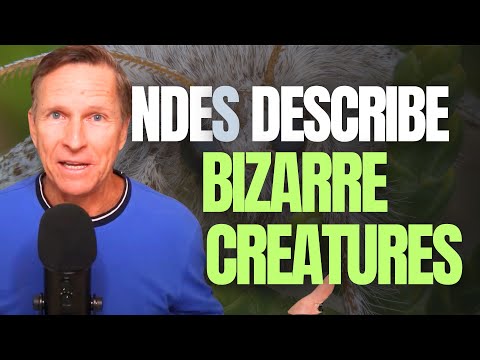 Bizarre Creatures in Heaven: What NDEs and the Bible Say [Ep. 6 Clip] | Imagine Heaven by John Burke