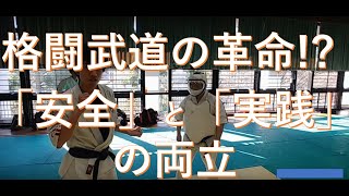 格闘技初心者にもおすすめ 安全性 実践性 ハイブリッドな格闘武道 硬式空手道とは Youtube