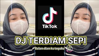 Download lagu DJ TERDIAM SEPI VIRAL TIKTOK 2024 || DALAM DIAM KU TERPAKU MENGINGAT KISAH KITA