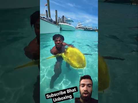 speed video 🧐#funny #shark #speed @souravjvlogs @MrBeast @CrazyXYZ @unboxtherapy