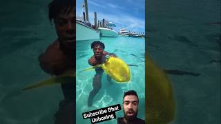 speed video 🧐#funny #shark #speed @souravjvlogs @MrBeast @CrazyXYZ @unboxtherapy