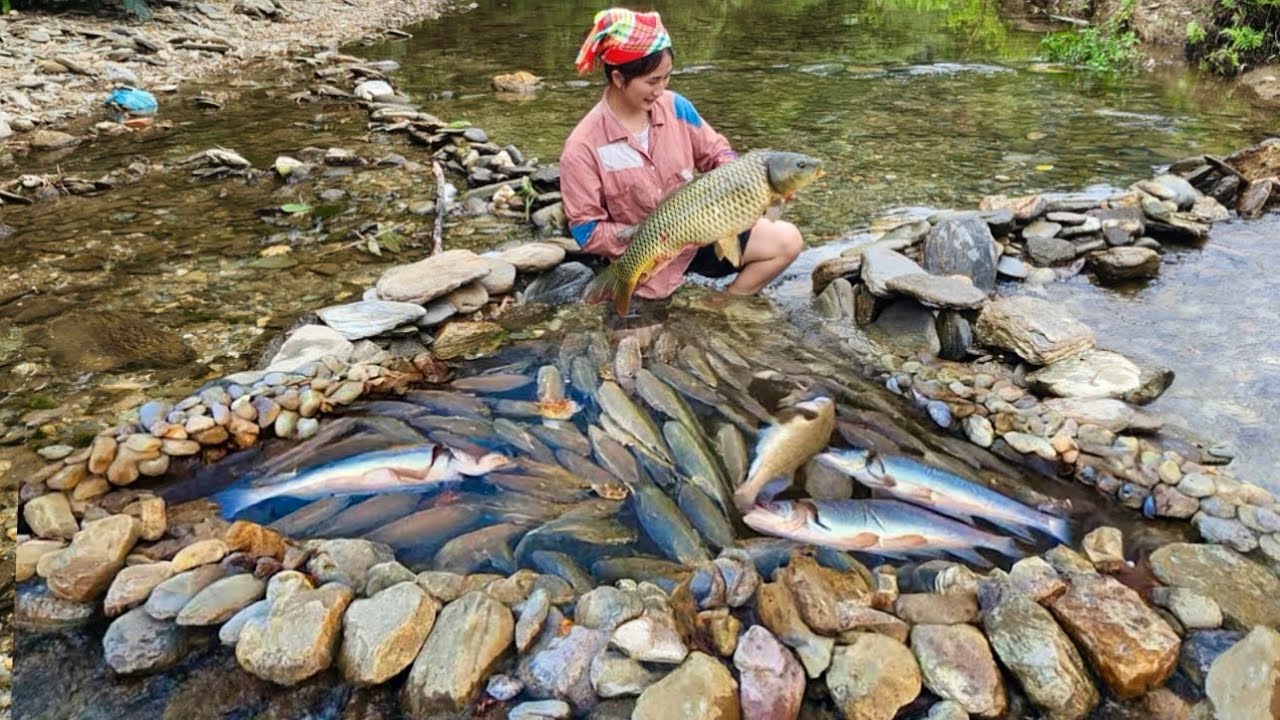 Fishing Skills: The girl creates the perfect fish trap to catch a large ...