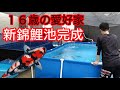 【錦鯉池完成】１６歳の愛好家の新設備！ろ過槽高額です。。#koi　#nisikigoi　#ปลาคราฟ　#錦鯉　#アクアリウム　#飼育　#金魚　#メダカ