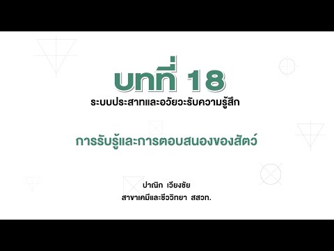 การรับรู้และการตอบสนองของสัตว์ (ชีววิทยา ม. 6 เล่ม 5 บทที่ 18)