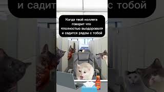 Безответственность 😭😂 #reels #new #tiktok #юмор #funny #cats