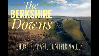 Juniper Valley in the Berkshire Downs