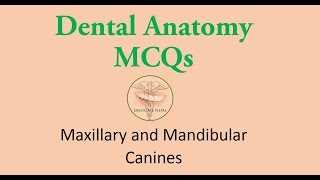 Maxillary Canine and Mandibular Canine   Dentistry MCQs  for  NBDE, NDEB, AIPGEE, AIIMS, ADA, etc.