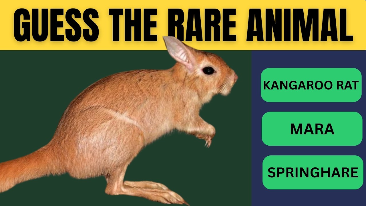 Только 1% сможет угадать этих редких животных! 🦎 Викторина о дикой природе. Угадайте редкое живот...