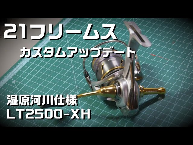 ダイワ 21フリームス LT2500-XH