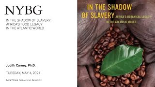 In the Shadow of Slavery: Africa's Food Legacy in the Atlantic World screenshot 4