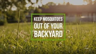 Keep Mosquitoes Out of Your Backyard - Lake County Health Department