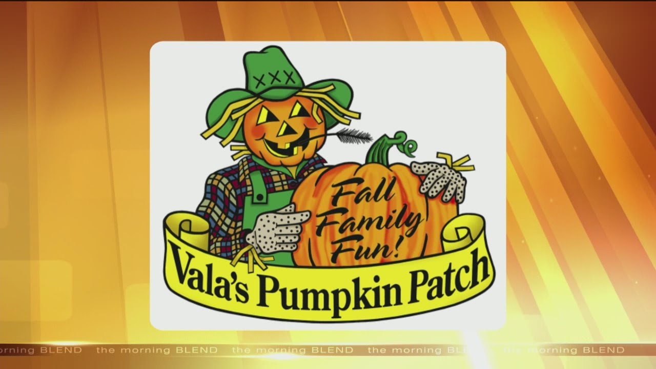 Vala's Pumpkin Patch YouTube