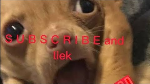 csmos v2.6 gameplay by billflx