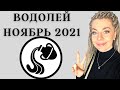 ВОДОЛЕЙ НОЯБРЬ 2021: Расклад Таро Анны Ефремовой